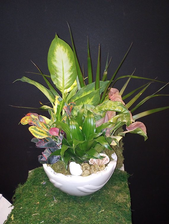Small Garden Dish