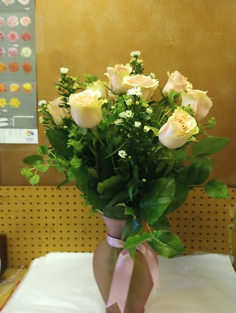 Light pink roses
