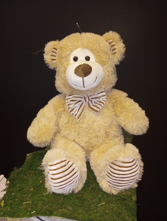 Teddy Bear