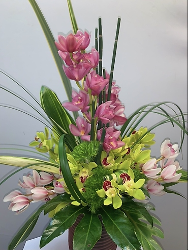 Fabulous Orchid Delight