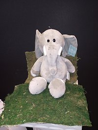 Small Bear