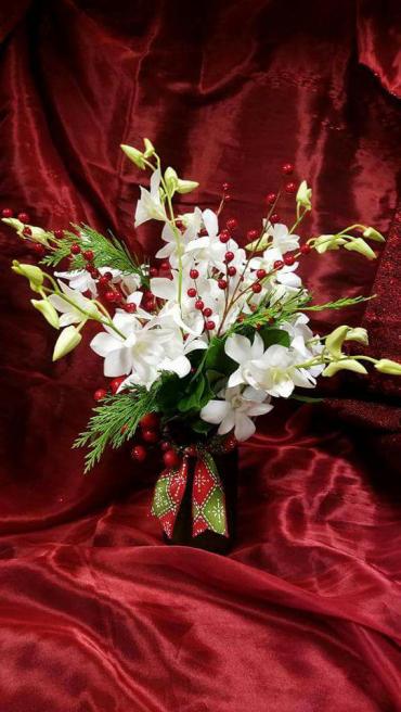 Forget-Me-Not Winter White Orchids