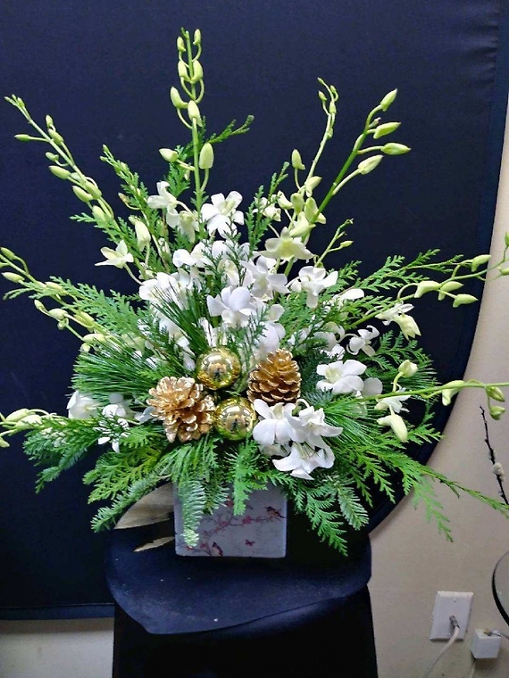 Holiday Orchids