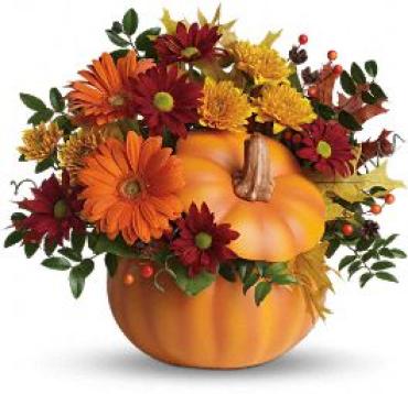 Country Pumpkin