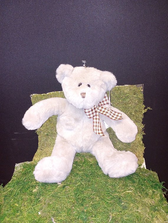 Small Bear