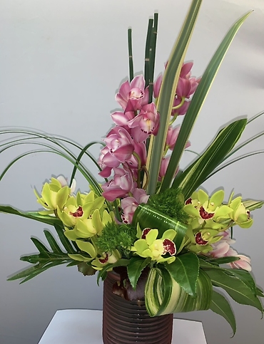 Fabulous Orchid Delight