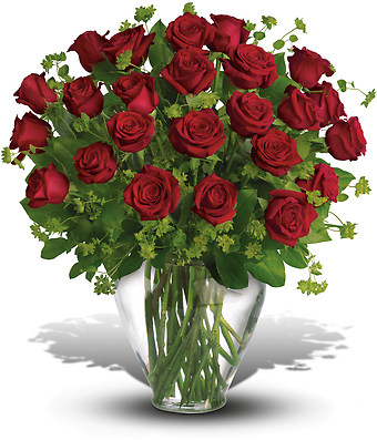 My Perfect Love -2 doz Long Stemmed Red Roses